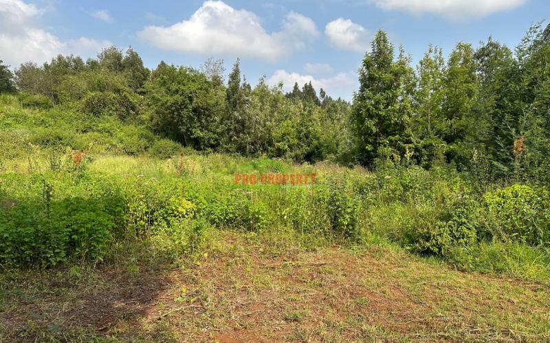Residential Plot For Sale In Kikuyu, Ondiri-kiambu County.