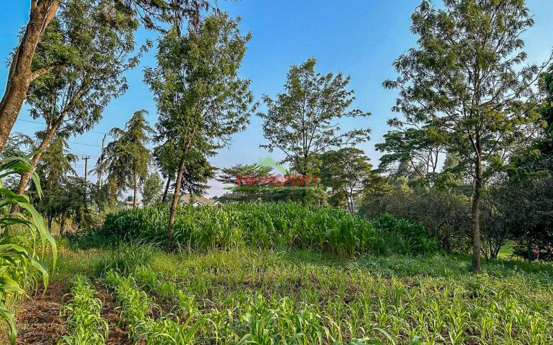 Half Acre Land For Sale On Tarmac In Limuru,mutarakwa