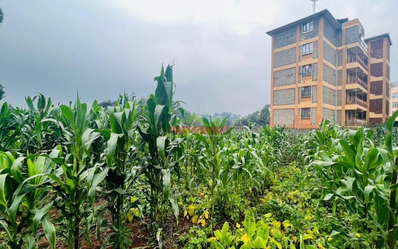 Commercial Plot For Sale In Kikuyu, Sigona