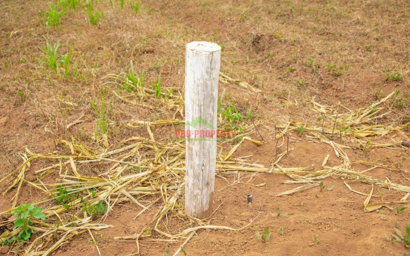 Ready To Build Residential Plots For Sale In Kikuyu, Kamangu.