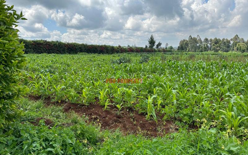 Prime Residential 1 Acre Land For Sale In Rironi Near Tilisi Estate.