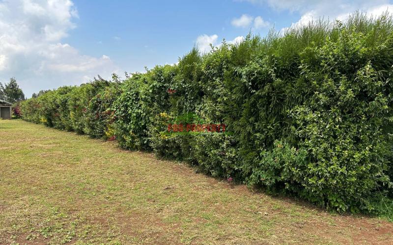 Prime Residential 1 Acre Land For Sale In Rironi Near Tilisi Estate.