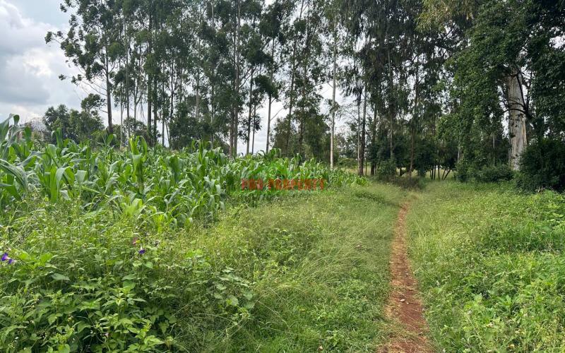 Prime Residential Plot For Sale In Kikuyu Near The Southern Bypass.