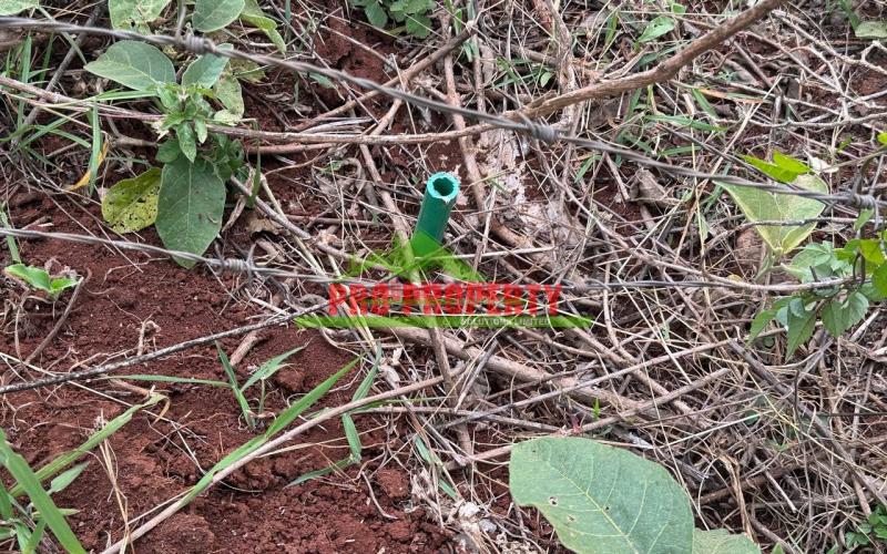 Prime Plot For Sale In Kikuyu, Gikambura.