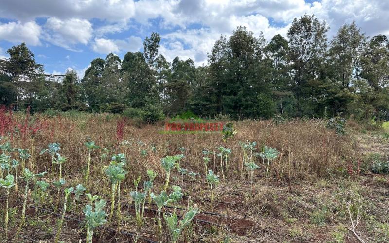 1 Acre Land For Lease In Kikuyu,ondiri