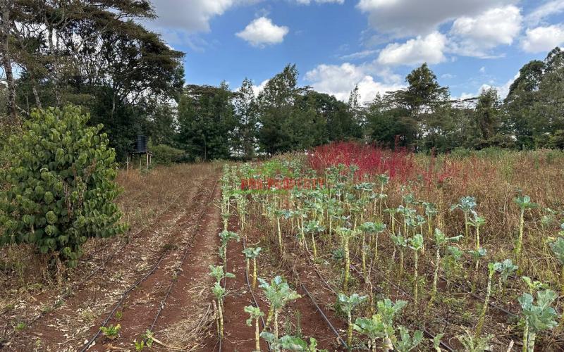 1 Acre Land For Lease In Kikuyu,ondiri