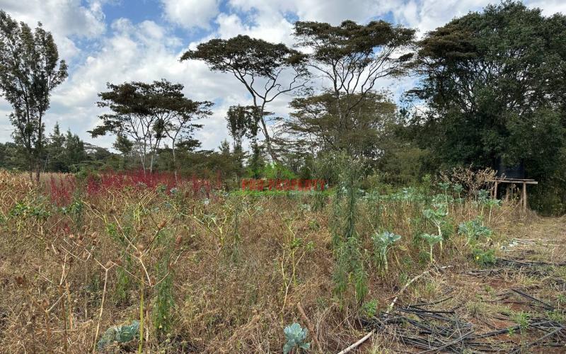 1 Acre Land For Lease In Kikuyu,ondiri