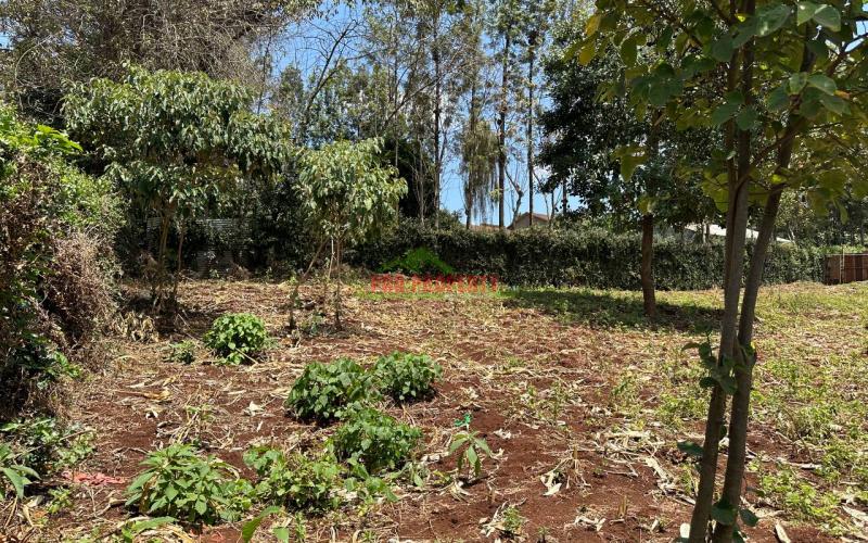 Prime Commercial Plot For Sale In Kinoo 87 Along Waiyaki Way.