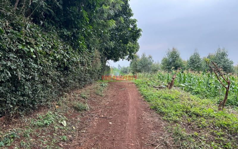 Prime Plot For Sale In Lower Kabete.