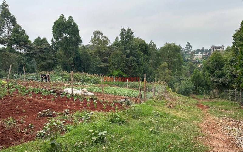 Prime Plot For Sale In Lower Kabete.