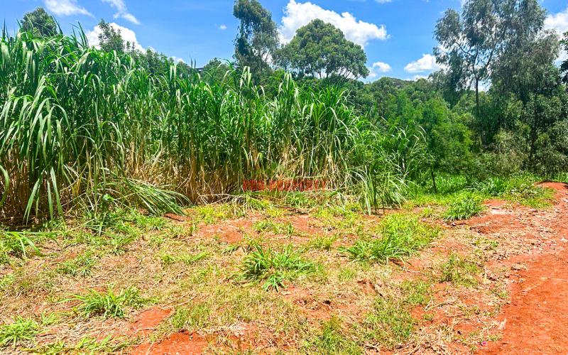Prime Commercial Plot For Sale In Mwimuto, Route 119