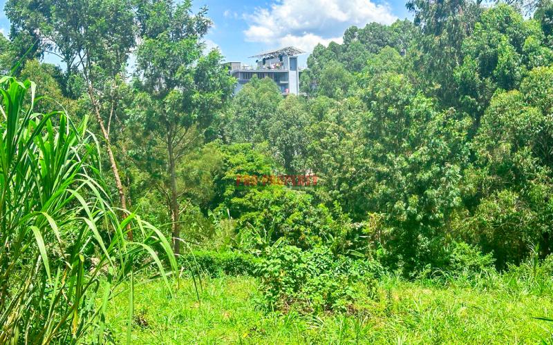 Prime Commercial Plot For Sale In Mwimuto, Route 119