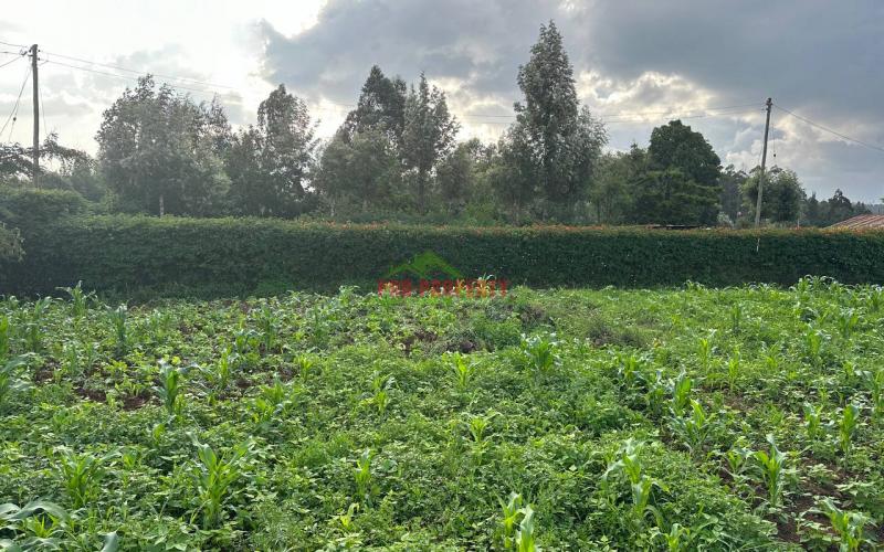 Residential ¼ +⅛acre Together Plot For Sale In Kikuyu, Kamangu