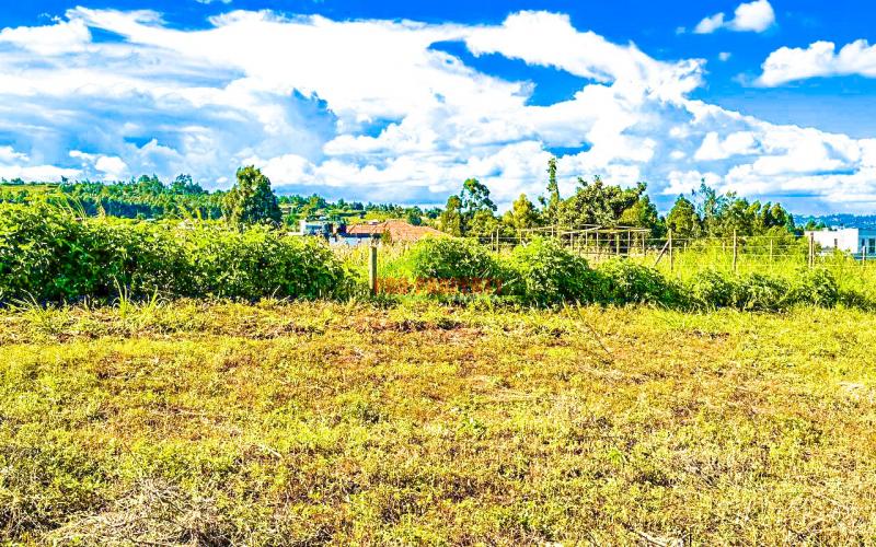 Prime Residential Plot For Sale In Kikuyu, Kamangu.