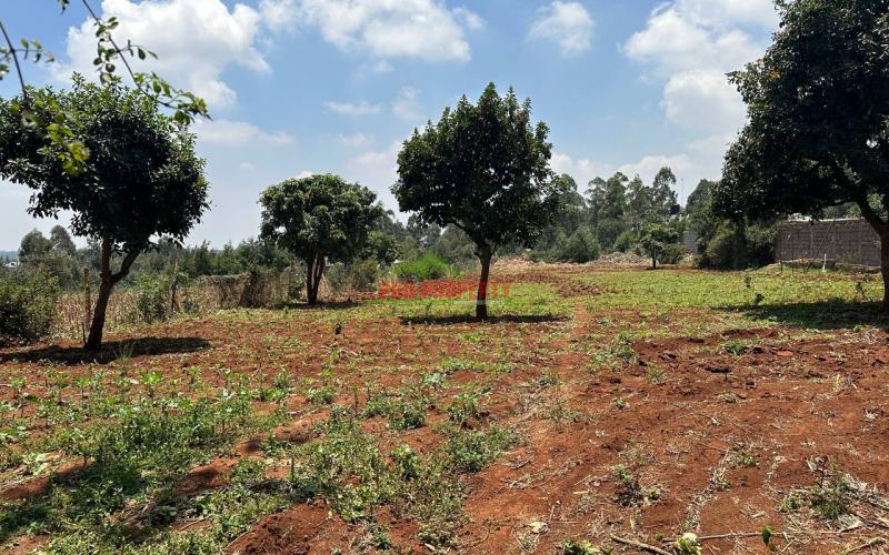 Prime One Acre Land On Tarmac For Sale In Kikuyu ,gikambura.