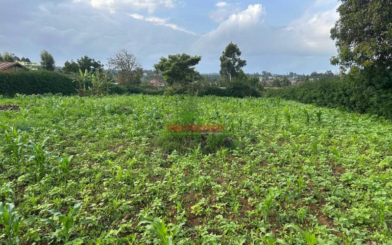 Residential ¼ +⅛acre Together Plot For Sale In Kikuyu, Kamangu