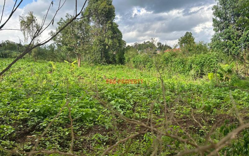 Affordable 1/4 Acre Plot For Sale In Kikuyu-thigio