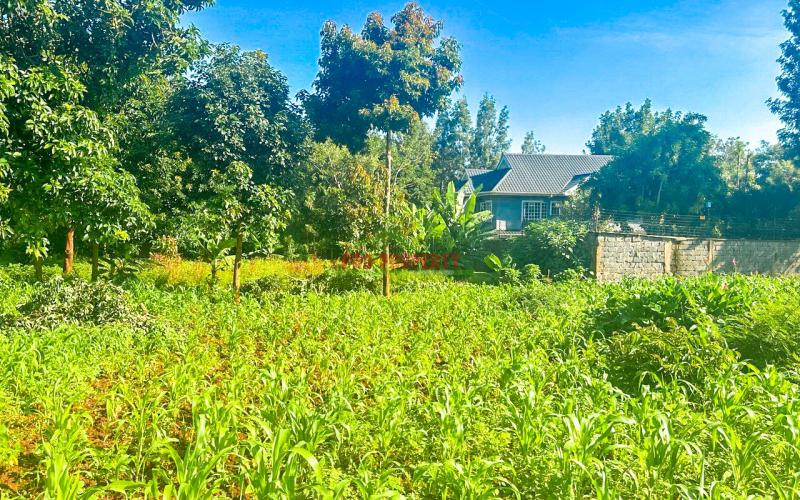 Prime Residential Plot For Sale In Kikuyu, Gikambura.