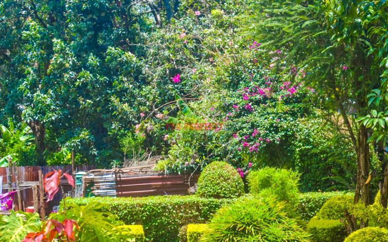 Commercial Plot For Sale In Kinoo 87.