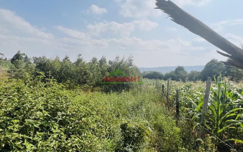 Prime Residential Plot For Sale In Kikuyu, Kamangu.