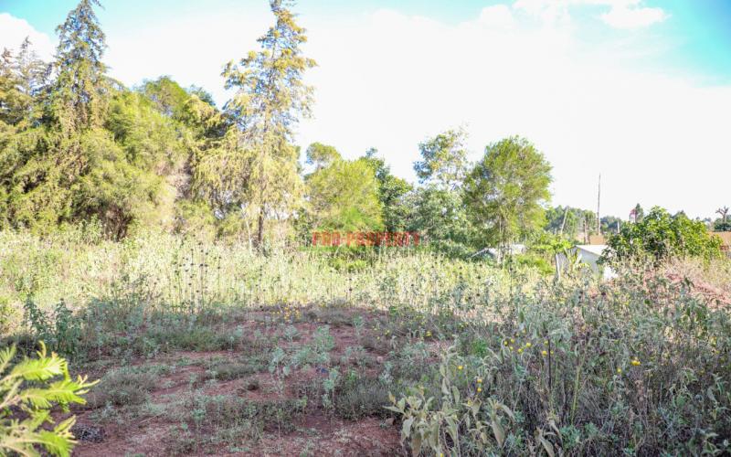 Prime Commercial Plot For Sale In Kikuyu, Ondiri-kamangu.