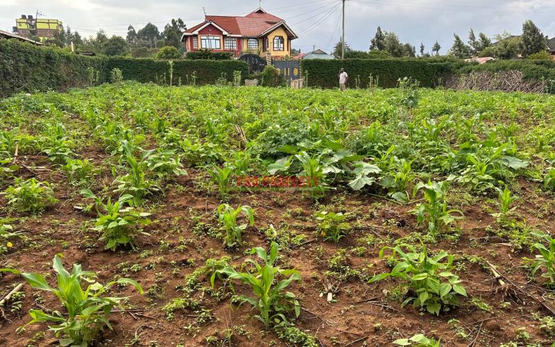 Prime Residential Plot For Sale In Kikuyu, Kamangu.