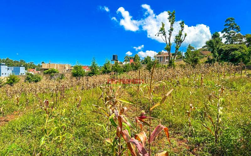 Prime Land For Sale In Kikuyu, Ondiri