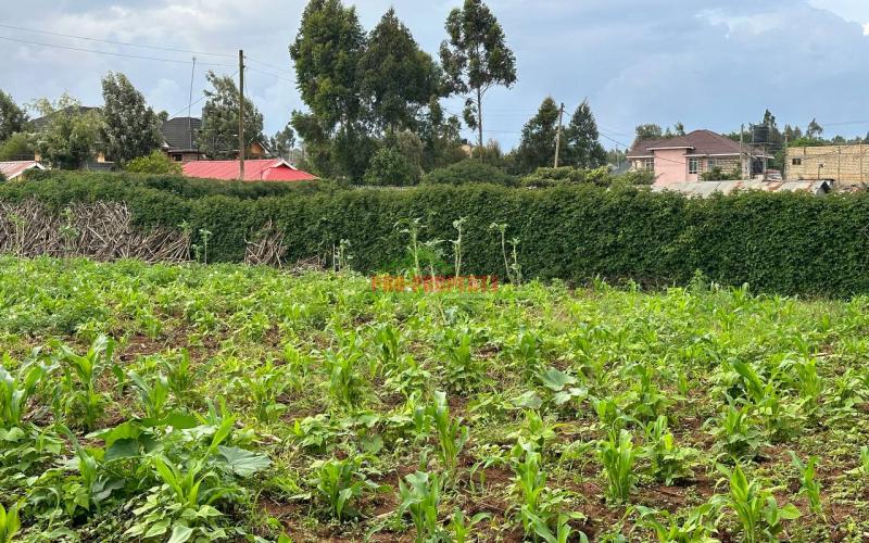 Prime Residential Plot For Sale In Kikuyu, Kamangu.