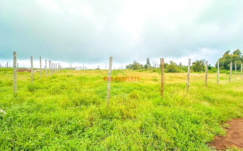 Affordable Plots On A Discount In Kikuyu, Kamangu Area.