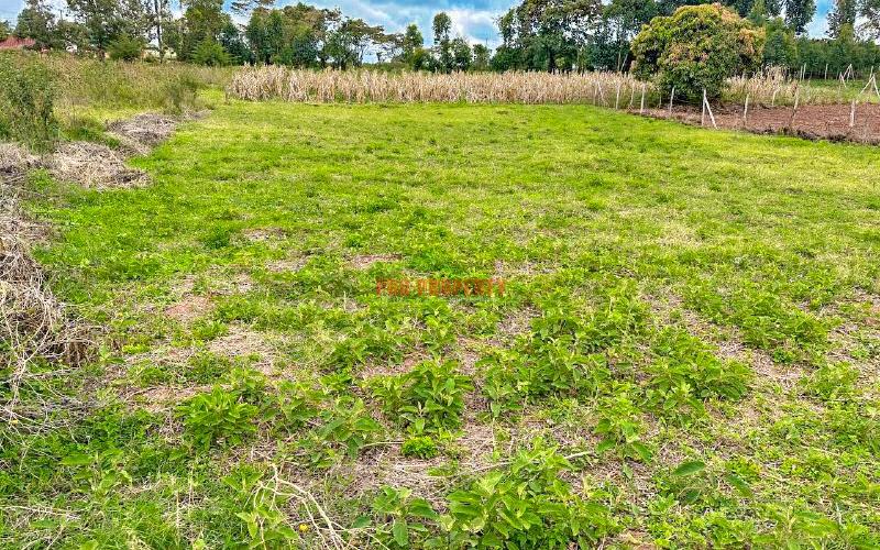 Half Acre Land For Sale In Kikuyu, Ondiri.