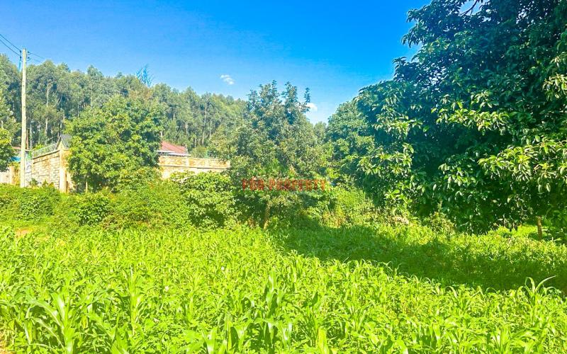 Prime Residential Plot For Sale In Kikuyu, Gikambura.