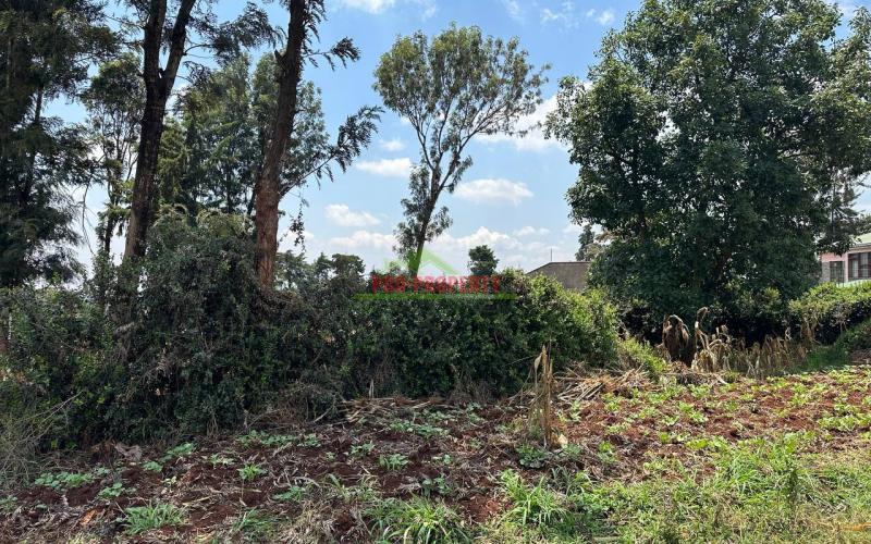 Commercial Plot For Sale In Kikuyu, Thogoto