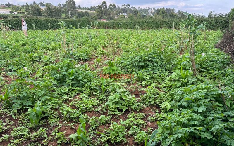 Prime Residential Plot For Sale In Kikuyu, Kamangu.
