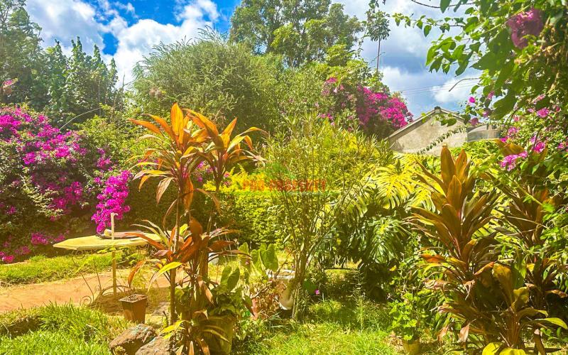 Commercial Plot For Sale In Kinoo 87.