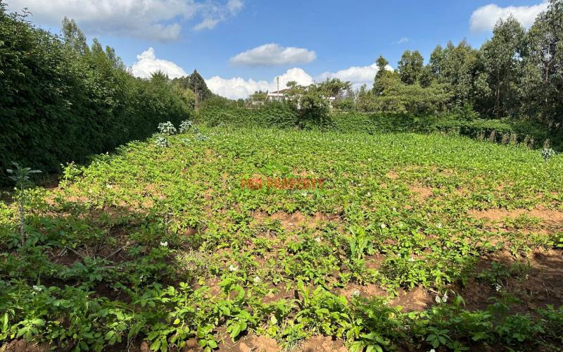 Prime Residential Plot For Sale In Kikuyu, Kamangu