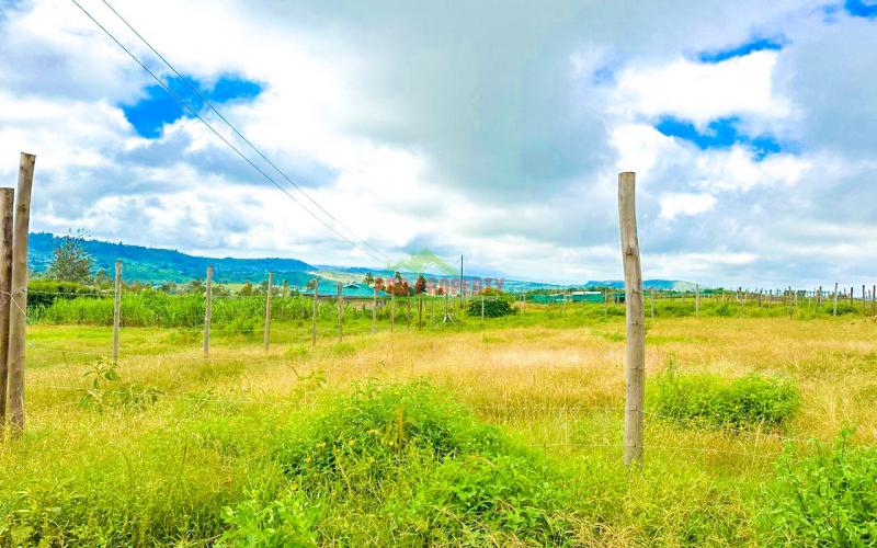 Affordable Plots On A Discount In Kikuyu, Kamangu Area.