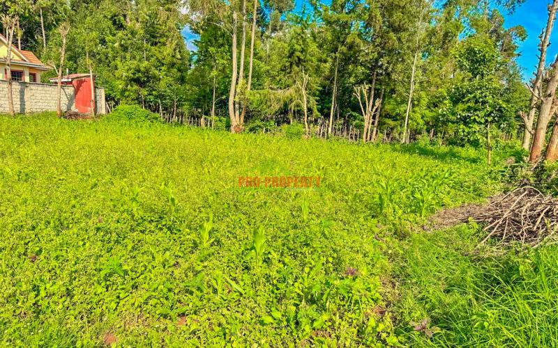 Prime Residential Plot For Sale In Kikuyu, Ondiri.