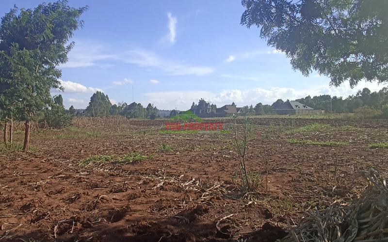 Prime Residential 50 By 100 Feet Plot For Sale In Kikuyu, Migumoini