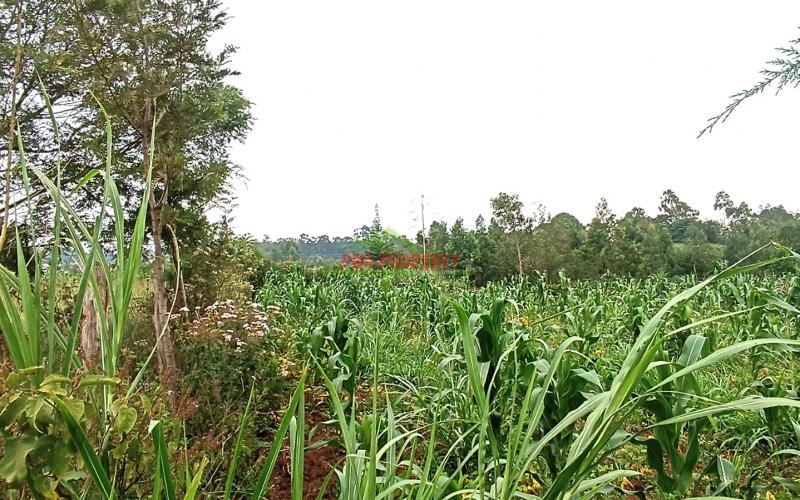 Residential Plot For Sale In Kikuyu, Kamangu Area