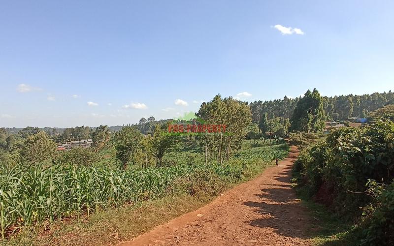 50 By 100ft Plot For Sale In Kikuyu, Thogoto (with Income)