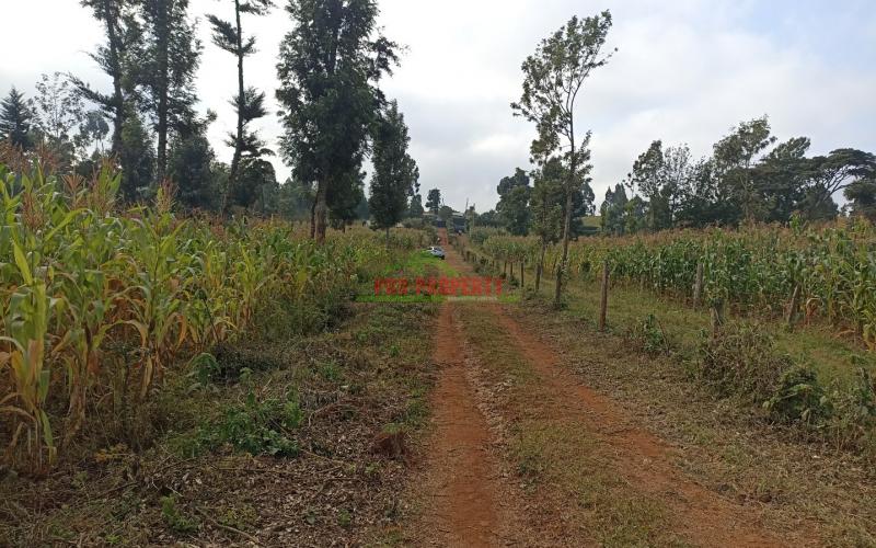 Residential Plot For Sale In Kikuyu, Gikambura