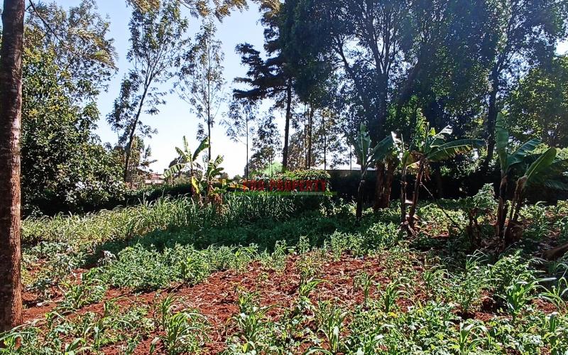 Commercial Plot For Sale In Kikuyu, Thogoto