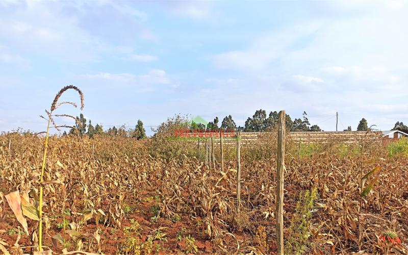 Prime Plots For Sale In Kikuyu, Kamangu, Kiambu County