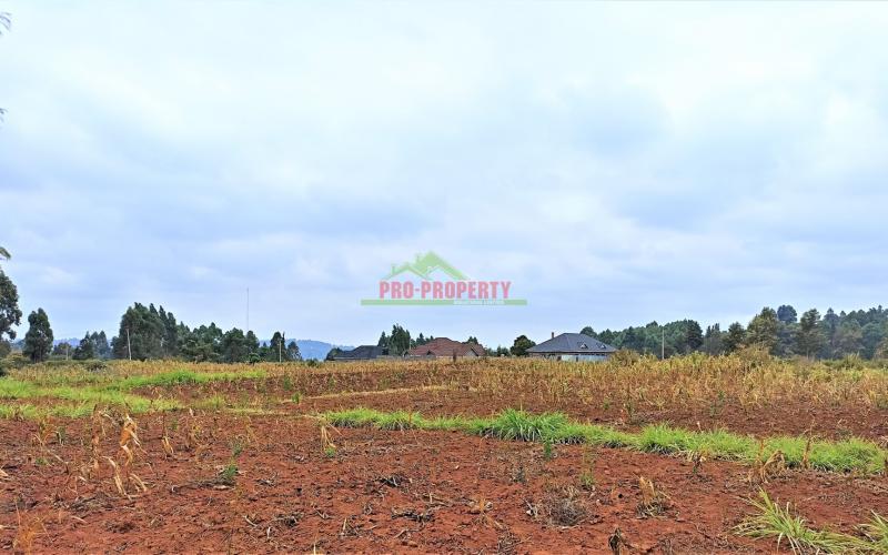 Very Prime Plot For Sale In Kikuyu (kiambu County)