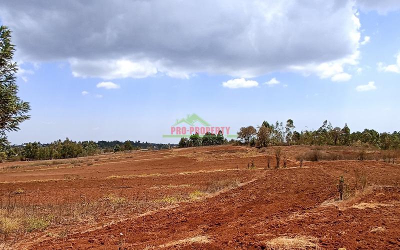 Prime Residential Plot For Sale In Kamangu, Kikuyu.