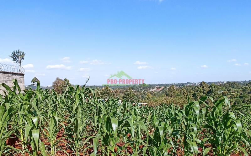 50 By 100ft Plot For Sale In Kikuyu, Thogoto (with Income)