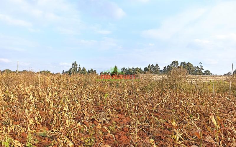 Prime Plots For Sale In Kikuyu, Kamangu, Kiambu County