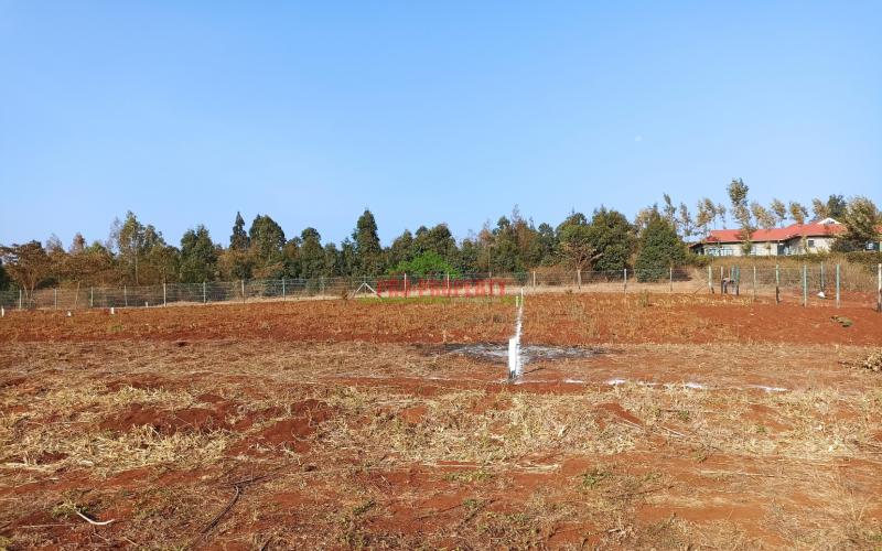Prime Residential Plots For Sale In A Gated Community Concept In Kikuyu, Migumoini Area