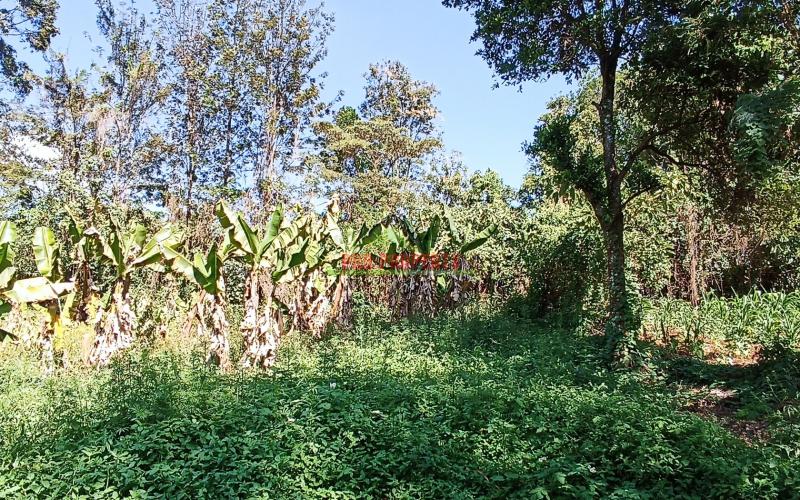 Commercial Plot For Sale In Thogoto, Near Thogoto Teachers College