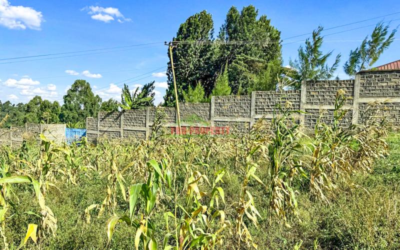 Prime Residential Plots For Sale In Kikuyu, Muguga